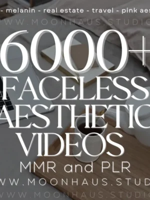 6000+ Aesthetic Faceless Video Reels + Story MRR & PLR resell | Affiliate Marketing, Email, Social Media mrr DFY Instagram Templates Digital